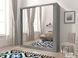 Шкаф-купе Perfect Home Мая VI / Maja VI 200 2-дверная с зеркалом Графит