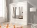 Шкаф-купе Perfect Home Мая IX / Maja IX 200 2-дверный с зеркалом Белый