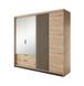 Шкаф полукупе Perfect Home Талли / Tally 4-дверный с зеркалом 4D2S/220 Дуб артизан/антрацит