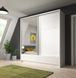 Шкаф-купе Perfect Home Ария I / Aria I 200 2-дверный с зеркалом Белый/белый глянец