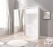 Шкаф полукупе для одежды Perfect Home ТВ/TV 200 2-дверный с зеркалом Белый реальная фотография