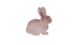 Пушистый Ковер Rabbit Arhome в форме кролика Lovely Kids 80х90 Розовый реальная фотография